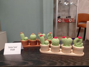 Cactussen 'Love'