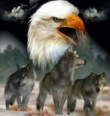 Daimond Painting 40x30cm - Arend en Wolf